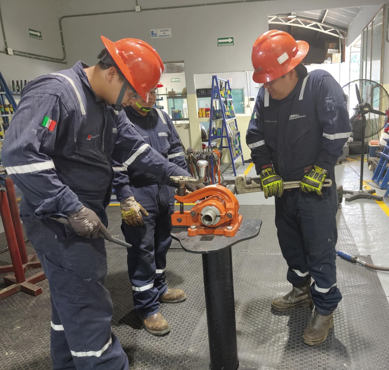 Servicios Adicionales